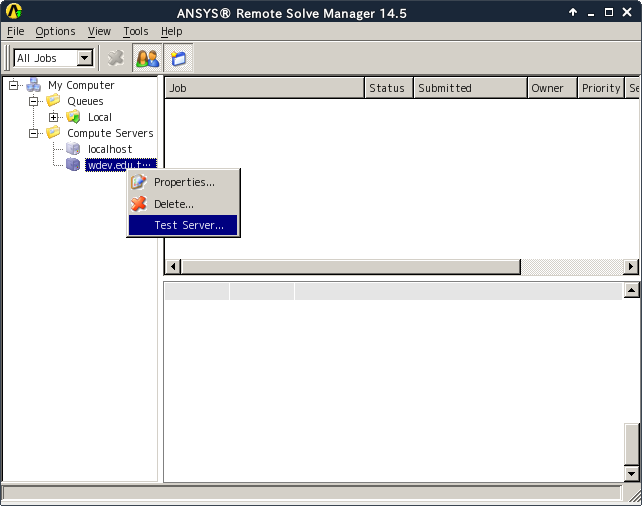 ansys-rsm-test-compute-server.png